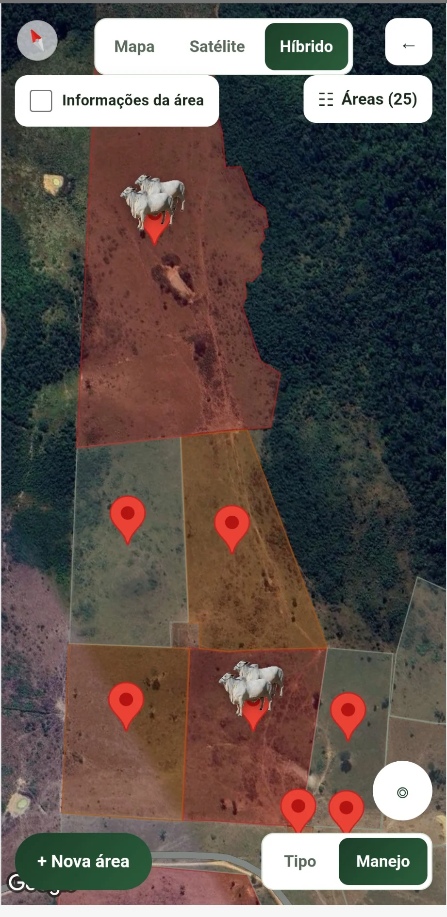 Mapa real da propriedade com áreas e manejo